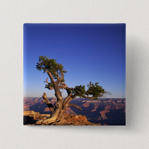 Grand Canyon, Arizona, USA 15 Cm Square Badge