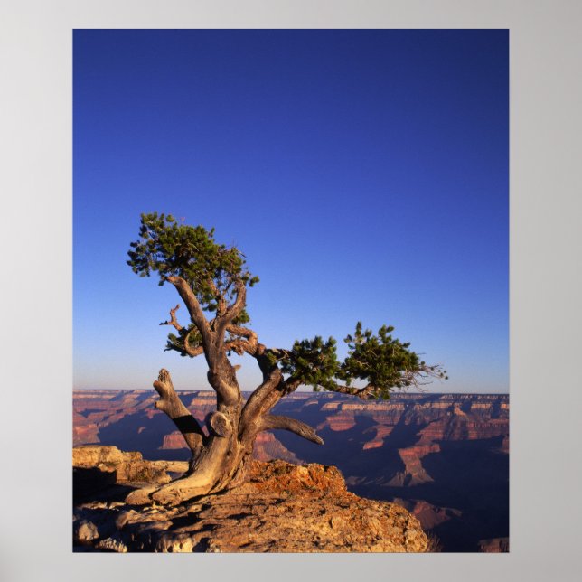 Grand Canyon, Arizona, USA Poster (Front)
