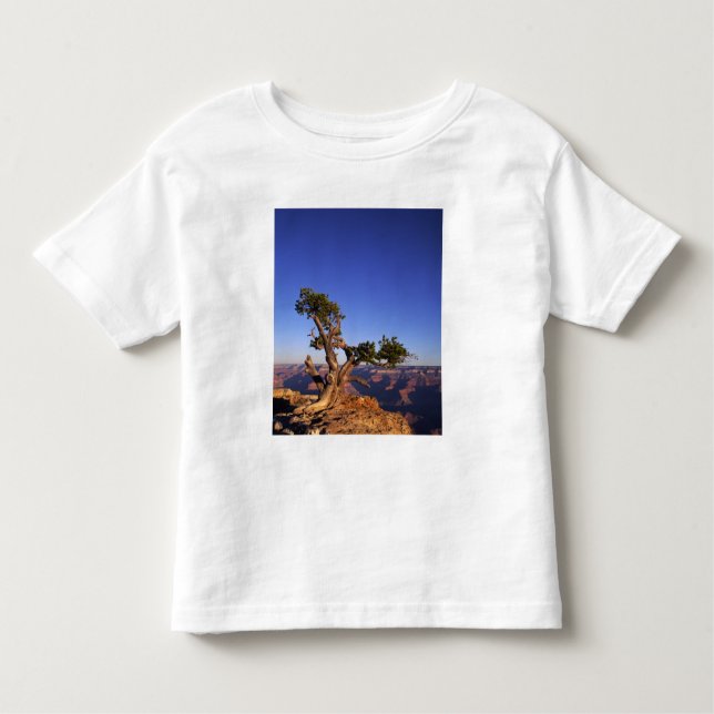 Grand Canyon, Arizona, USA Toddler T-Shirt (Front)