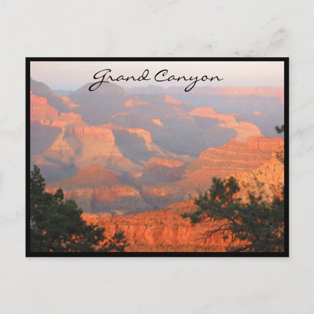grand canyon border postcard (Front)