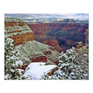 Grand Canyon in Winter Photo Print