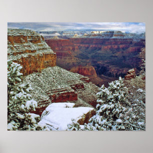 Grand Canyon in Winter Poster