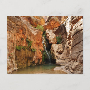 Grand Canyon National Park, Arizona Postcard