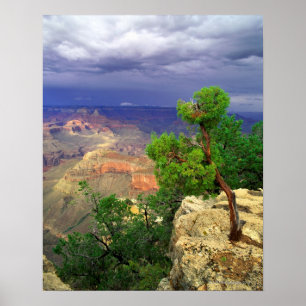 Grand Canyon National Park, Arizona, United 3 Poster