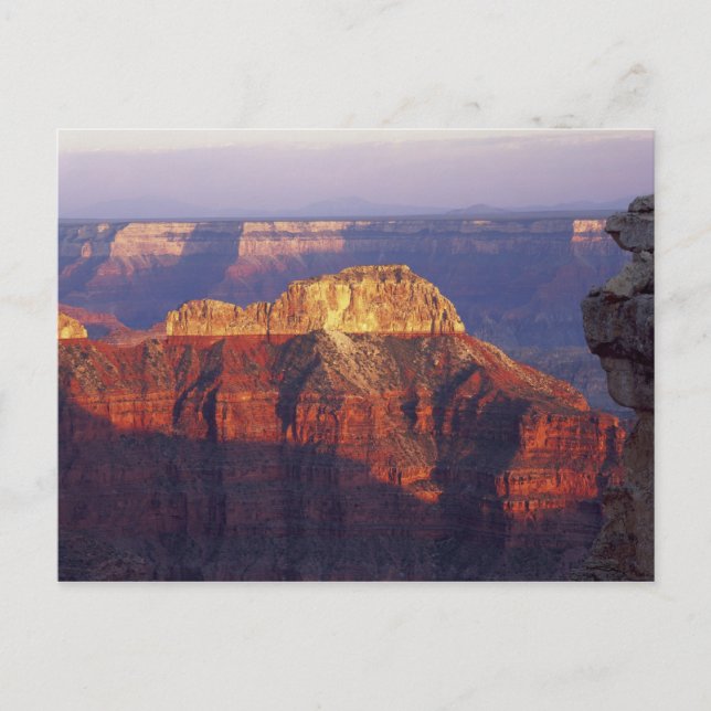 Grand Canyon National Park, Arizona, USA. Postcard (Front)
