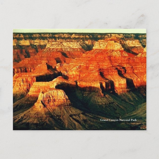 Grand Canyon National Park Postcard (Front)