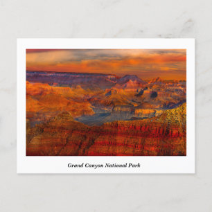 Grand Canyon  National Park Postcard