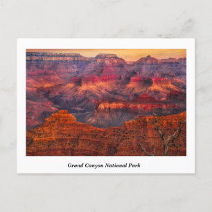 Grand Canyon  National Park Postcard