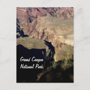 Grand Canyon National Park Postcard