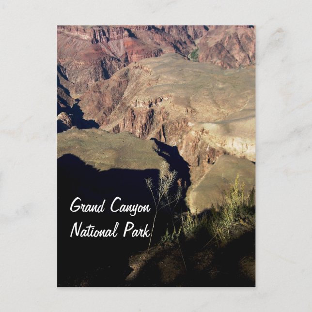 Grand Canyon National Park Postcard (Front)