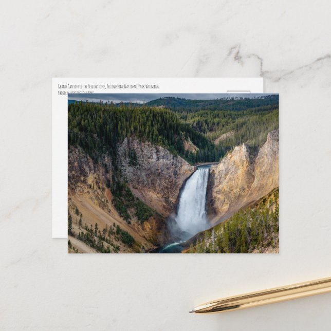 Grand Canyon of the Yellowstone Postcard (Front/Back In Situ)