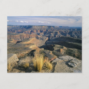 Grand Canyon-Parashant National Monument, 2 Postcard