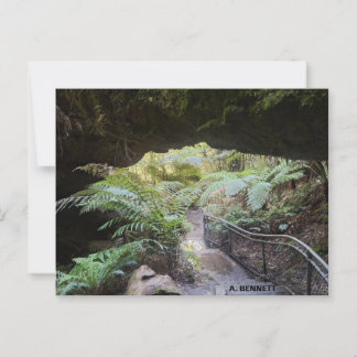 Grand Canyon Postcard