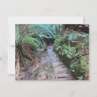 Grand Canyon Postcard