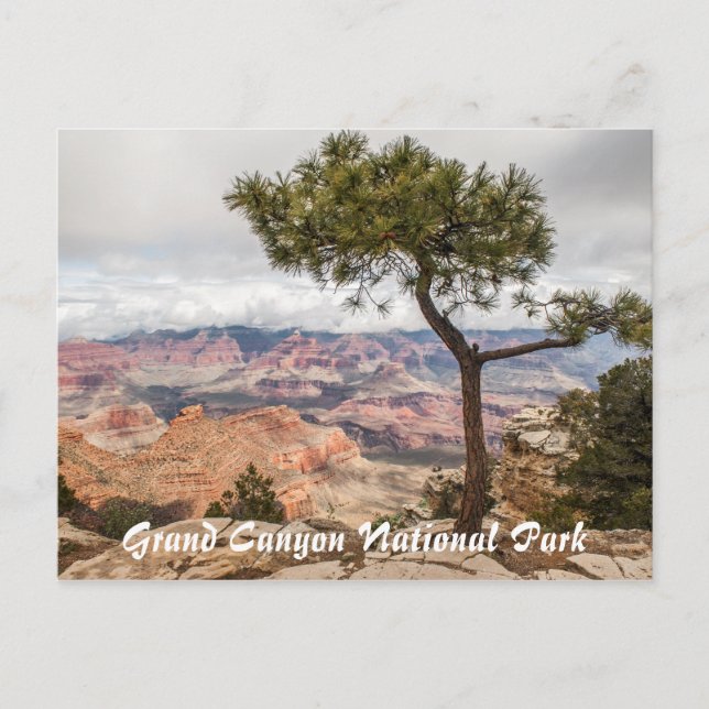 Grand Canyon Postcard (Front)