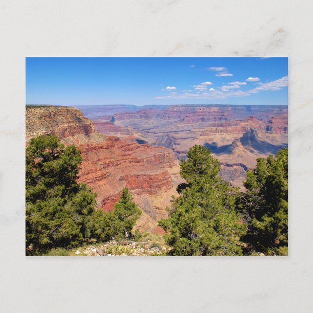 Grand Canyon Postcard (Front)