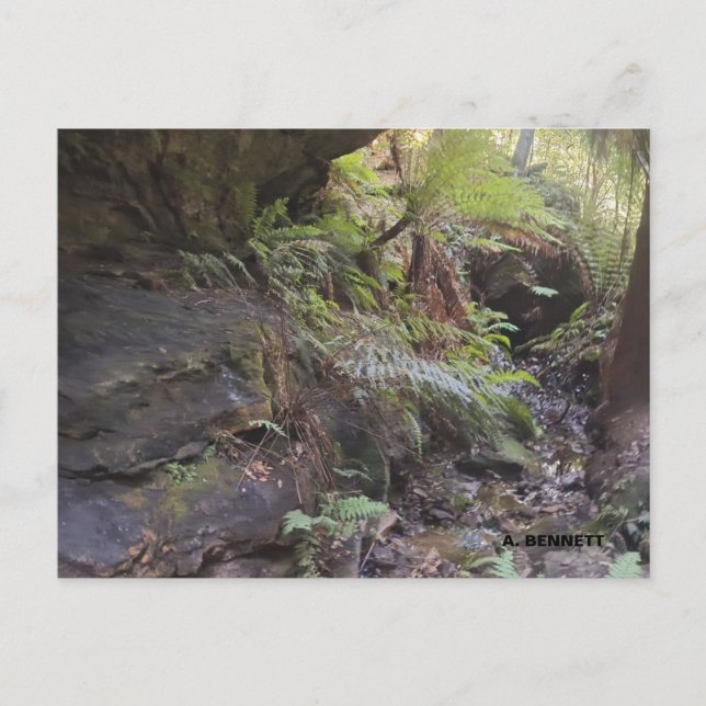 Grand Canyon Postcard (Front)