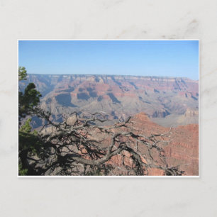 Grand Canyon Postcard 3