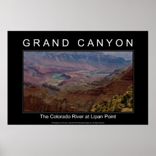 Grand Canyon River 4853 Black Poster
