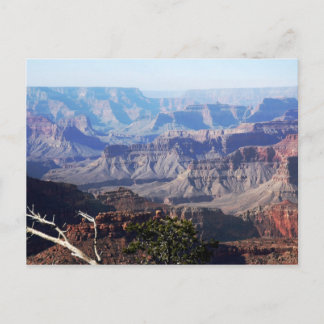 Grand Canyon - South Rim Postcard