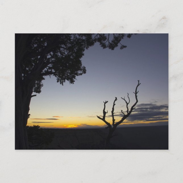 Grand Canyon Sunset Postcard 3 (Front)