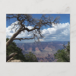 Grand Canyon The Painted Desert Arizona PostCard