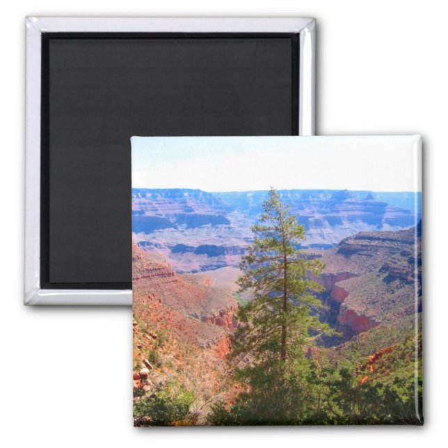 grand canyon tree magnet (Front)