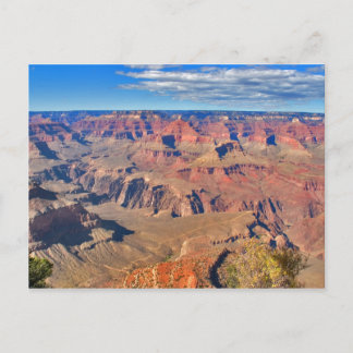 Grand Canyon Vista Postcard