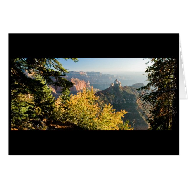 Grand Canyon with a golden birch (Front Horizontal)