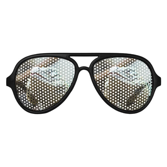 Grand Cayman Iguana Aviator Sunglasses (Front)