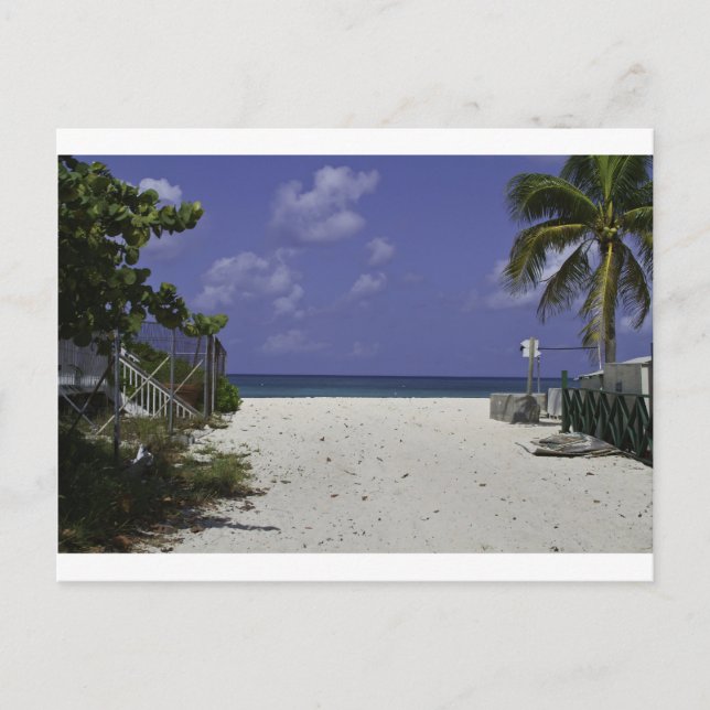 Grand Cayman Islands Postcard (Front)
