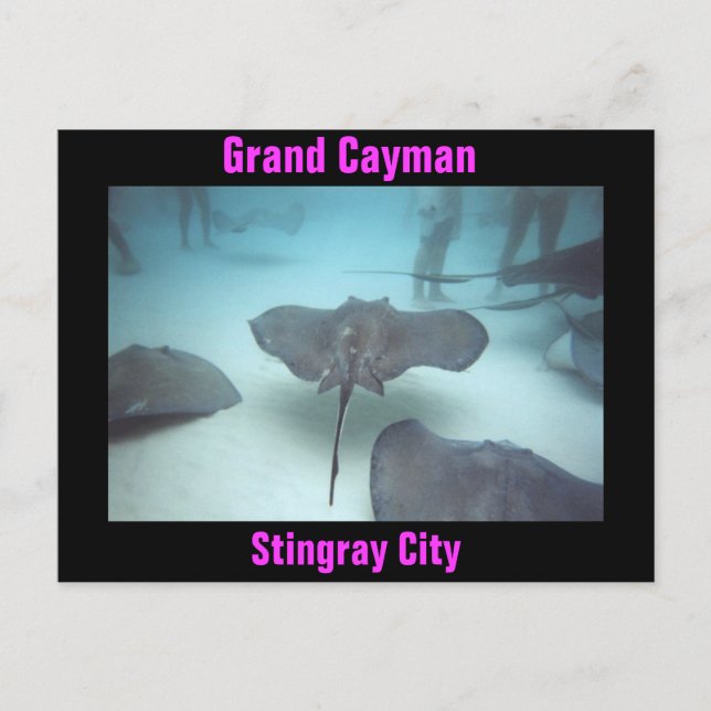 Grand Cayman postcard (Front)