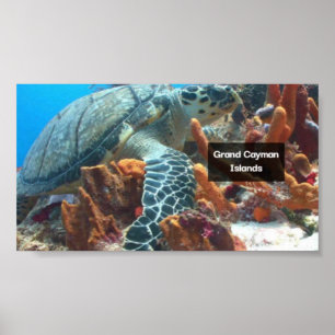 Grand Cayman poster