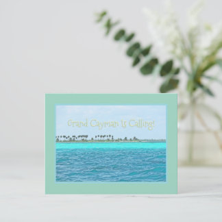 GRAND CAYMAN'S TURQUOISE WATER IS CALLING! POSTCARD