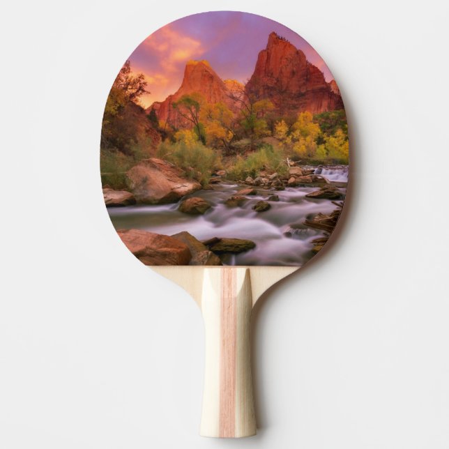Grand Dawn Ping Pong Paddle (Front)