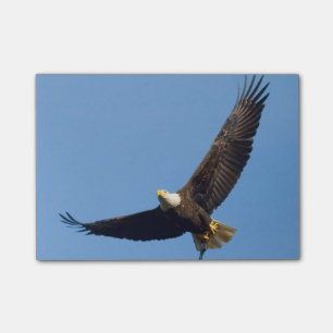 Grand Eagle Post-it Notes