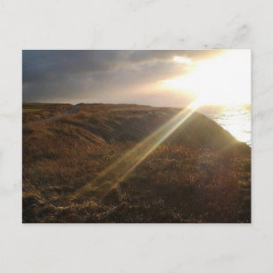 Grand Etang Postcard