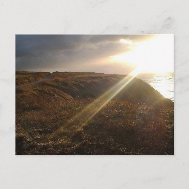 Grand Etang Postcard (Front)