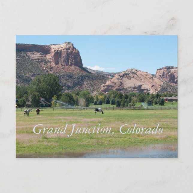 Grand Junction, Colorado Postcard (Front)