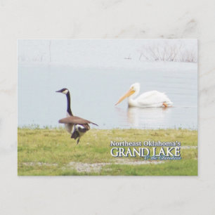 Grand Lake Oklahoma post card pelican3