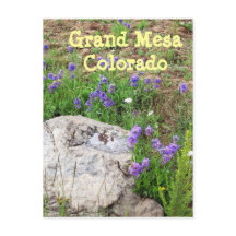 Grand Mesa, Colorado