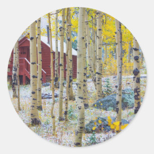 Grand Mesa Solitary cabin in a forest Classic Round Sticker