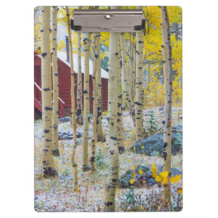 Grand Mesa Solitary cabin in a forest Clipboard