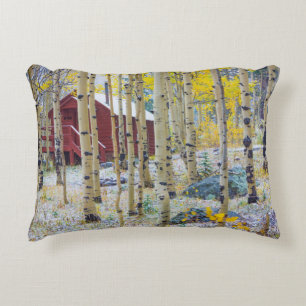 Grand Mesa Solitary cabin in a forest Decorative Cushion
