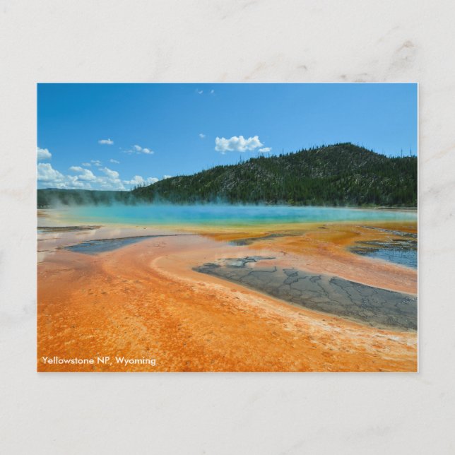 Grand Prismatic Spring in Yellowstone NP Postcard (Front)