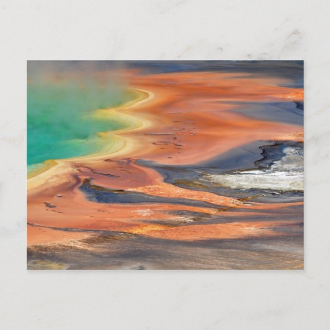 Grand Prismatic Spring Runoff Postcard (Front)