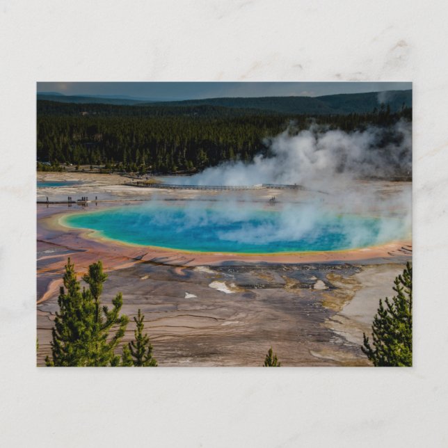 Grand Prismatic Spring Yellowstone National Park Postcard (Front)