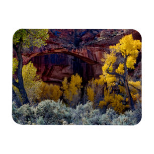Grand Staircase-Escalante National Monument 2 Magnet