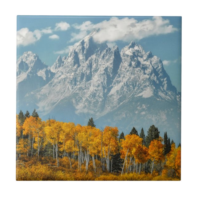 Grand Teton Mountains in the Fall Ceramic Tile (Front)