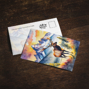 Grand Teton National Park Elk Wyoming Postcard